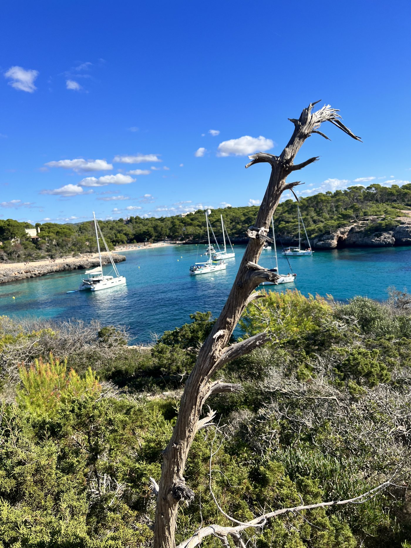 Küstenlandschaft Mallorca
